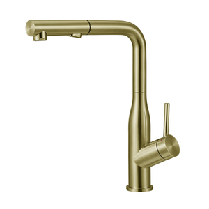 GT2107 Kitchen Faucet in Light Titanium Gold