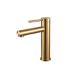 GT1030 Bathroom Faucet