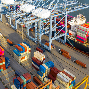 Quality Inspection & Delivery